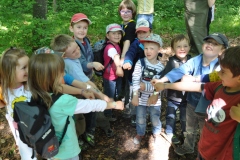 2014-05-24-Biberstufenaktivitaet-10