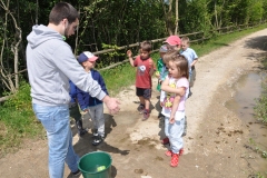 2014-05-24-Biberstufenaktivitaet-4