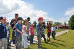 2014-05-24-Biberstufenaktivitaet-6
