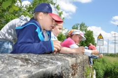 2014-05-24-Biberstufenaktivitaet-8