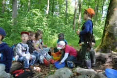 2014-05-24-Biberstufenaktivitaet-9